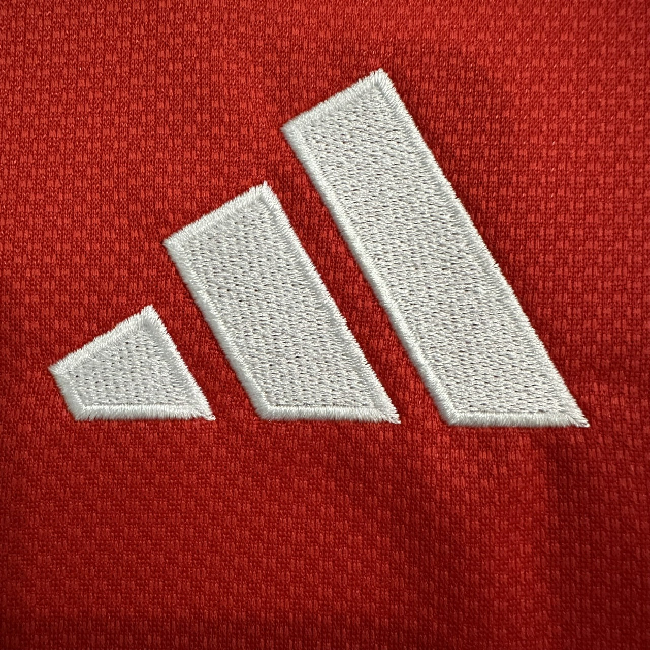 Benfica Home Jersey 2025/26 - Fan Version