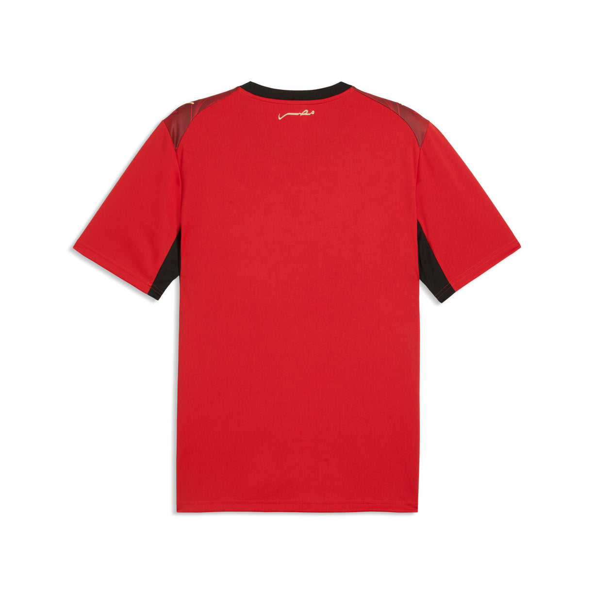 Egypt Home Jersey 2026/27 - Fan Version