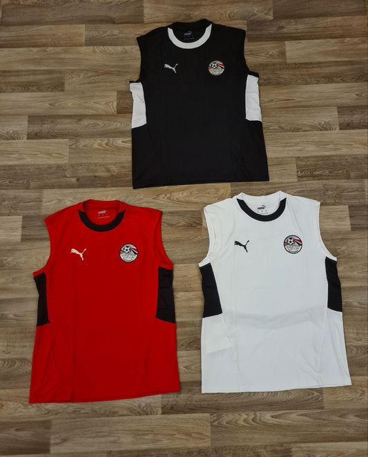 Egypt Tank Top 2026/27 - Premium Version