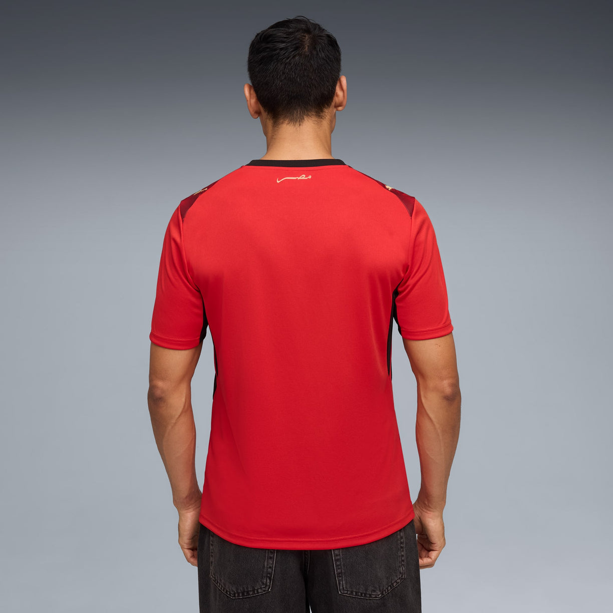 Egypt Home Jersey 2026/27 - Fan Version