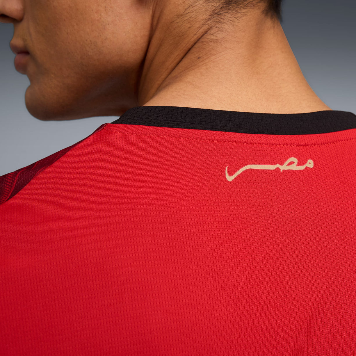 Egypt Home Jersey 2026/27 - Fan Version
