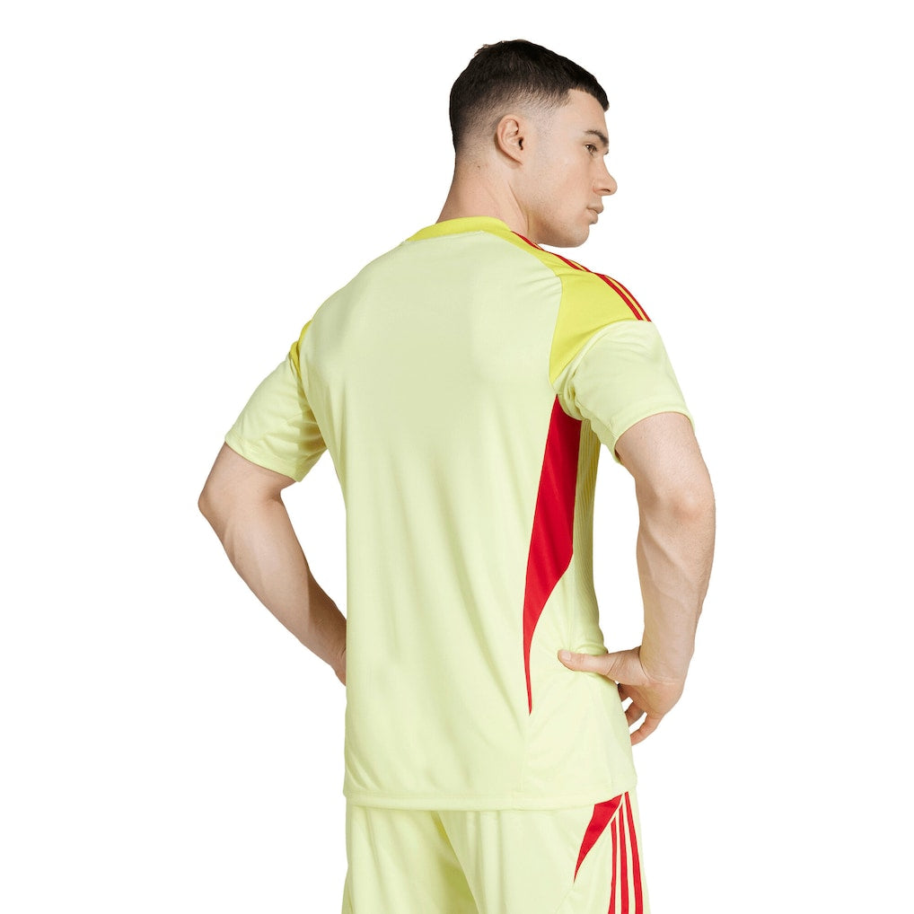 Arsenal Goalkeeper Jersey 2025/26 - Fan Version