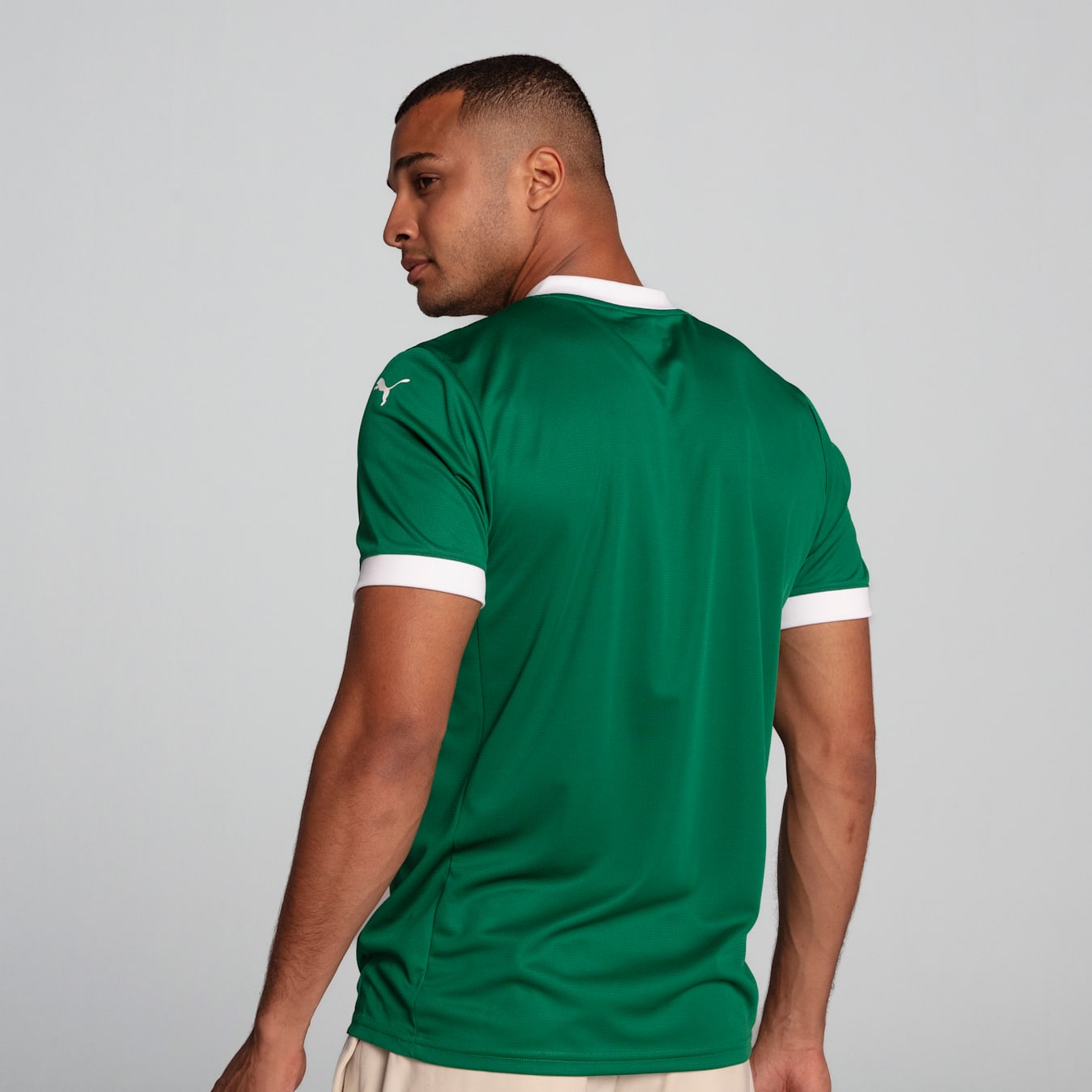Palmeiras Home Jersey 2025/26 - Fan Version