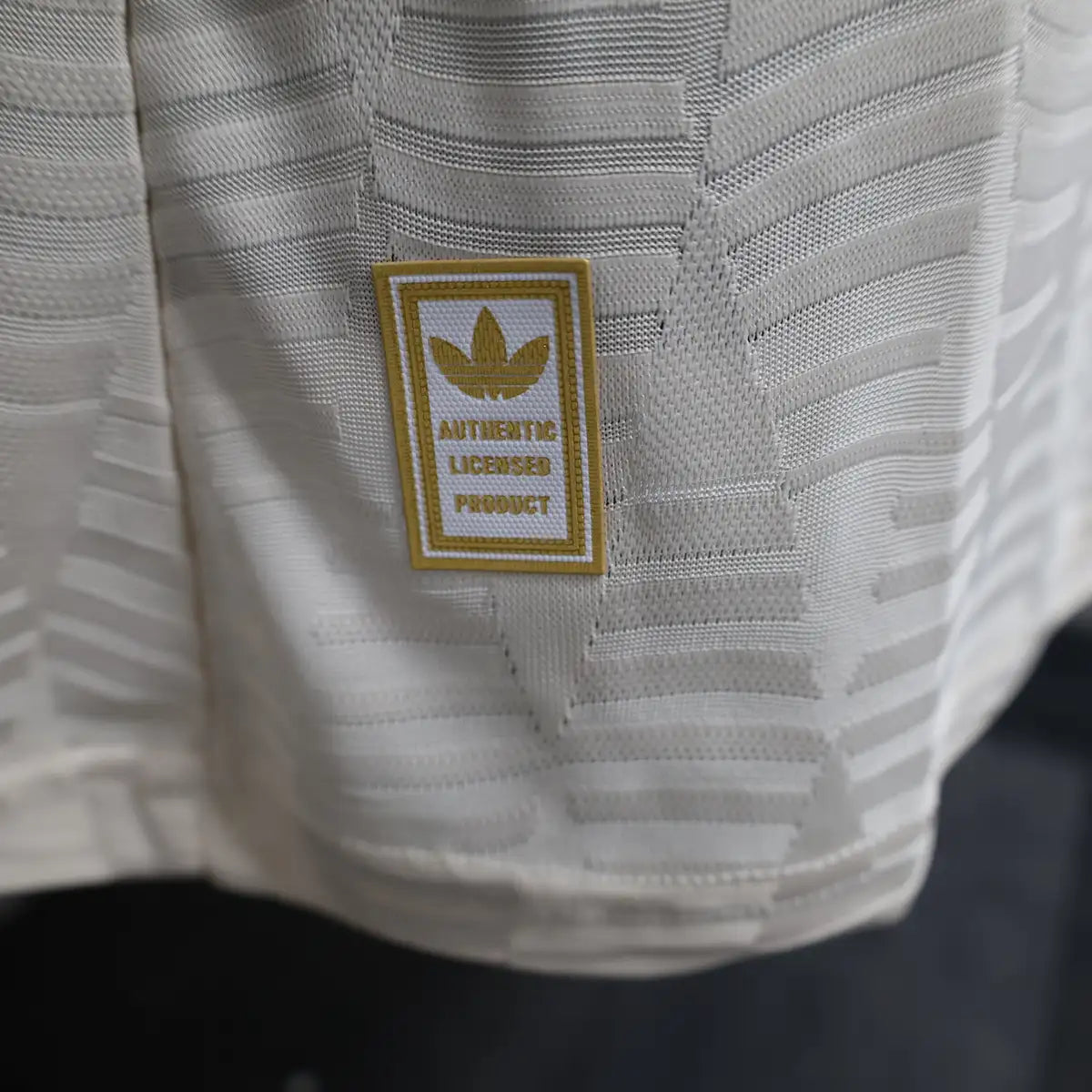 Bayern Munich Third Jersey 2024/25 - Player Verison ( Long Sleeve )