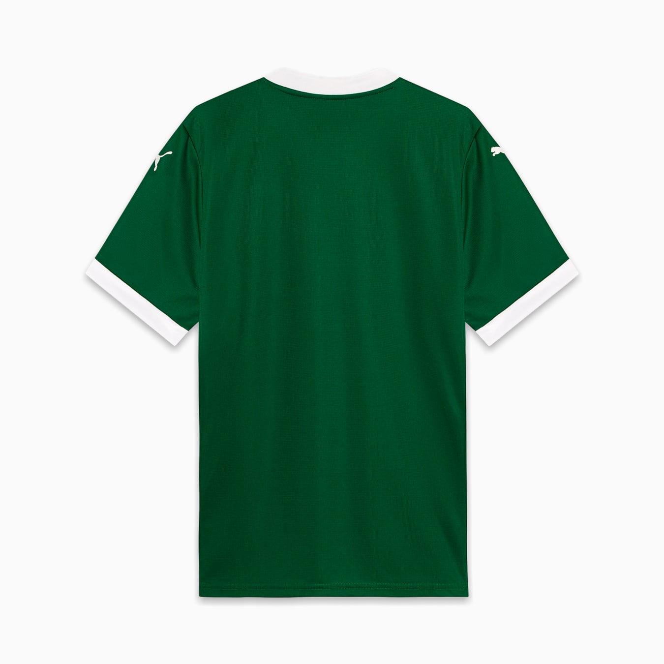 Palmeiras Home Jersey 2025/26 - Fan Version
