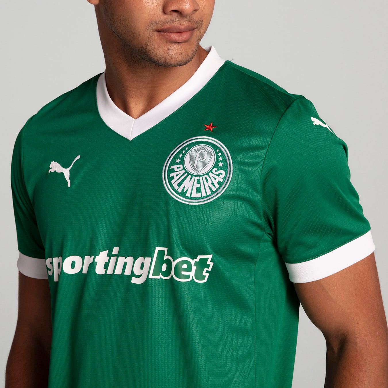 Palmeiras Home Jersey 2025/26 - Fan Version