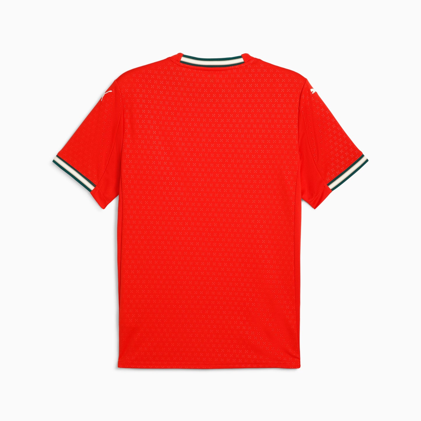 Portugal Home Jersey 2025/26 - Fan Version